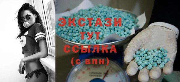 шишки Надым