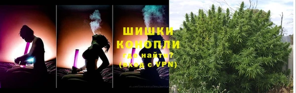 шишки Надым
