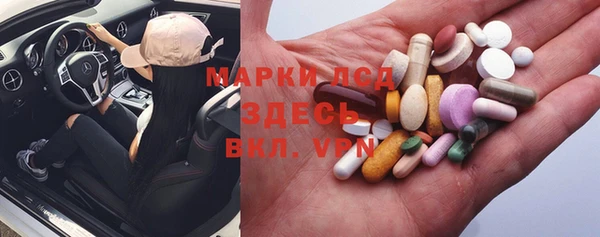 шишки Надым