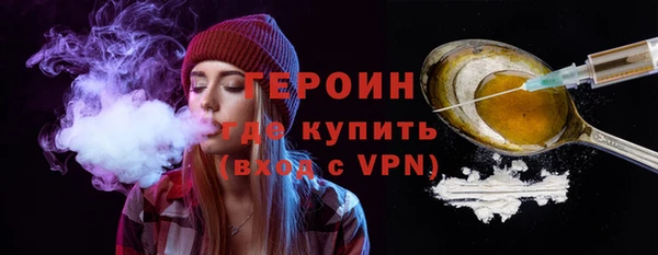 шишки Надым