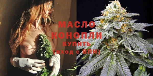 шишки Надым