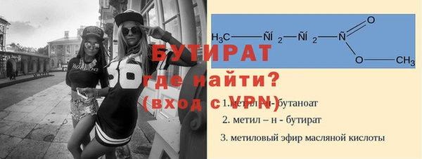 шишки Надым