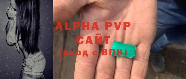 шишки Надым