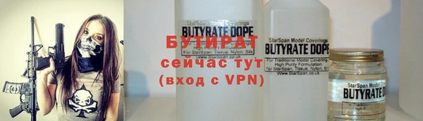 шишки Надым