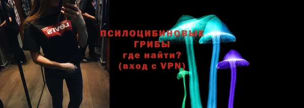 шишки Надым
