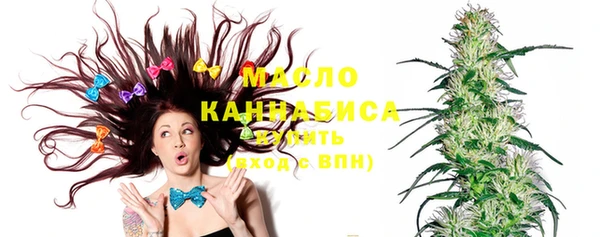 шишки Надым