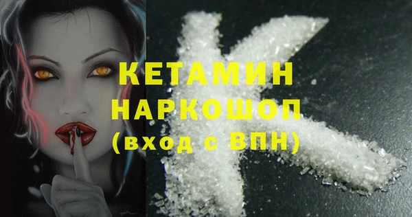 шишки Надым