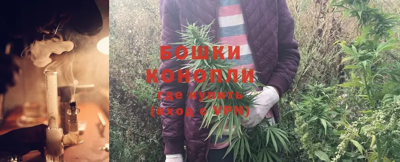 Конопля OG Kush  omg онион  Сорочинск 